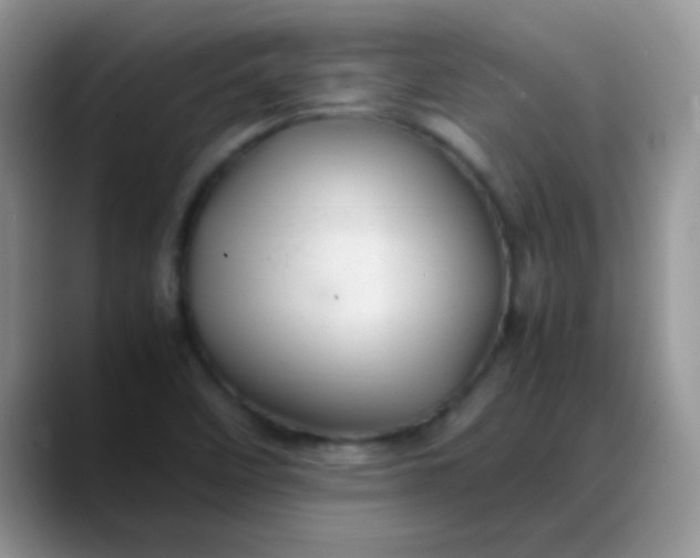 X0000088191458200705292002