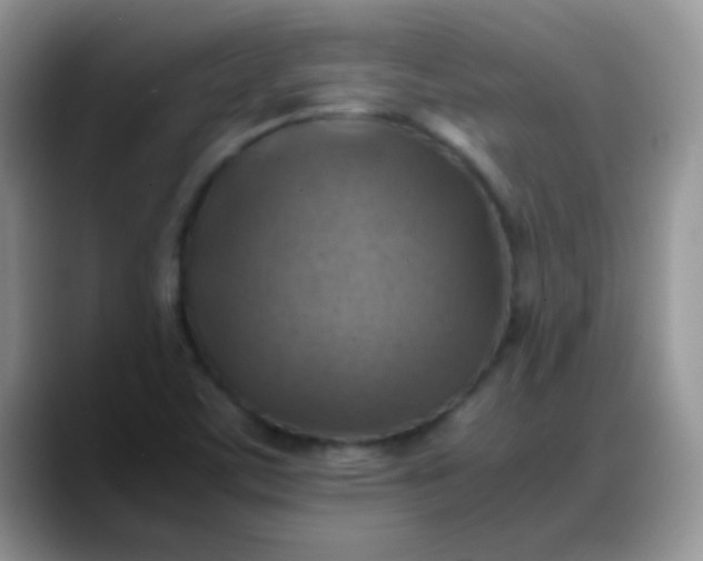 X0000088191459200705292002