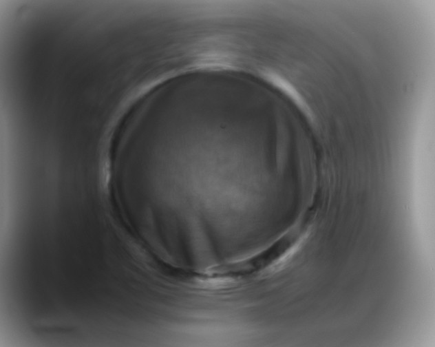 X0000088191461200705292002