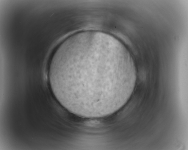 X0000088191462200705292002