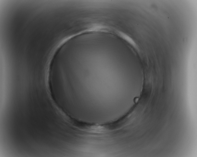 X0000088191463200705292002