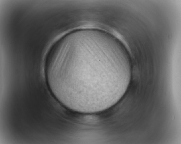 X0000088191464200705292002