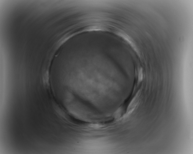 X0000088191465200705292002