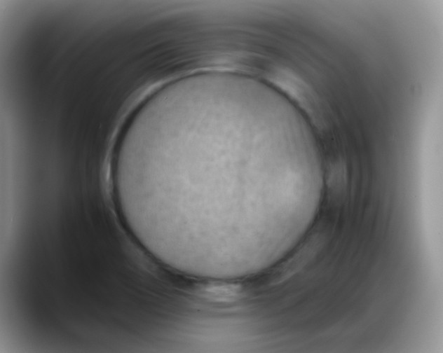 X0000088191466200705292002