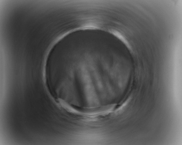 X0000088191469200705292002