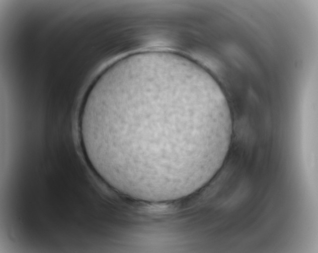 X0000088191470200705292002