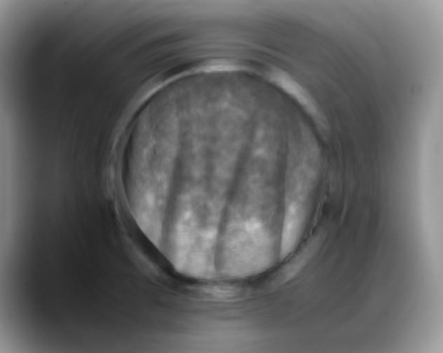 X0000088191473200705292002