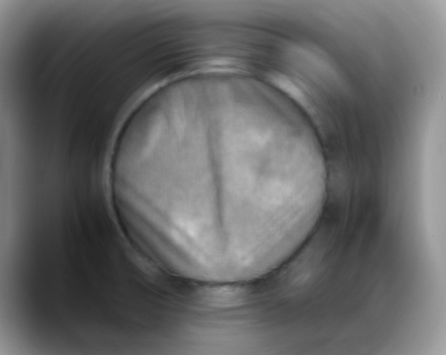 X0000088191474200705292002
