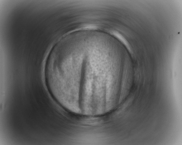 X0000088191475200705292002