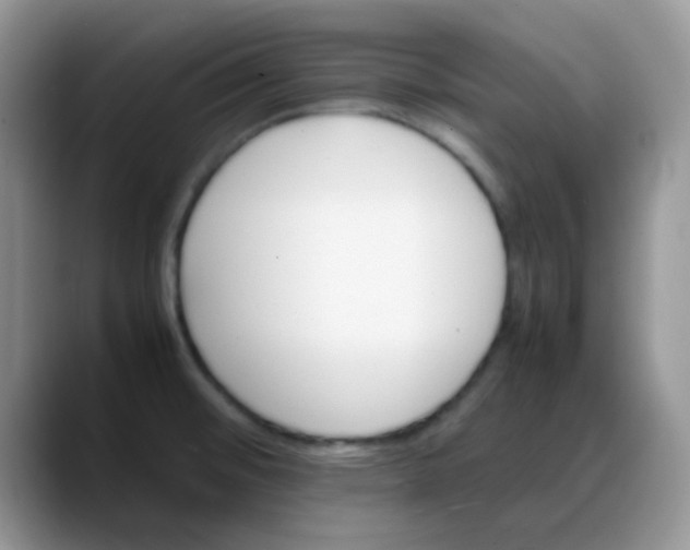 X0000088191476200705292002