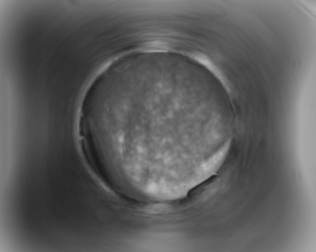 X0000088191477200705292002