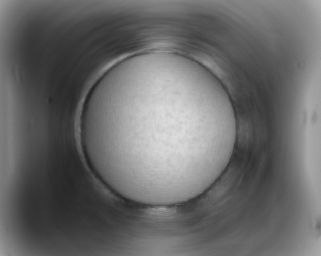 X0000088191478200705292002