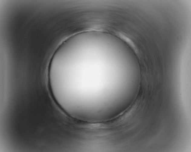 X0000088191479200705292002