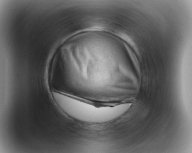 X0000088191480200705292002