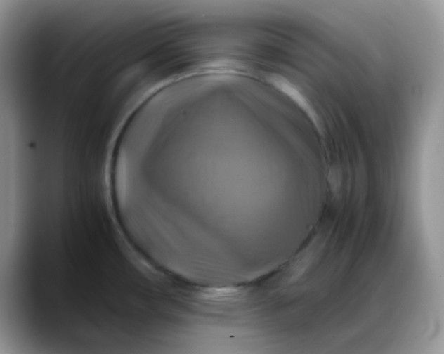 X0000088191482200705292002