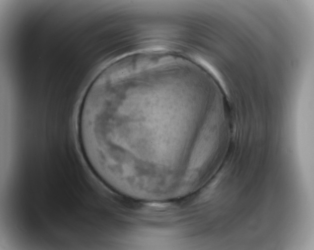 X0000088191483200705292002