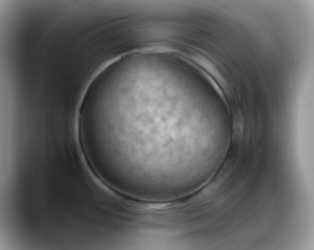 X0000088191484200705292002