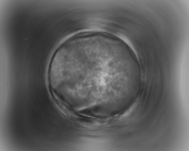 X0000088191485200705292002