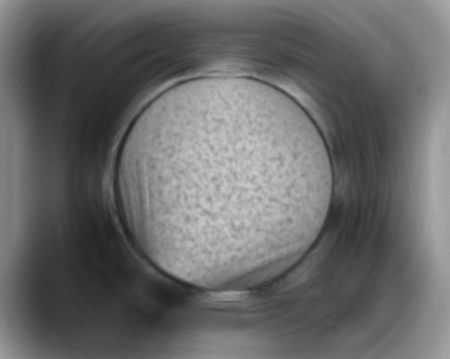 X0000088191486200705292002