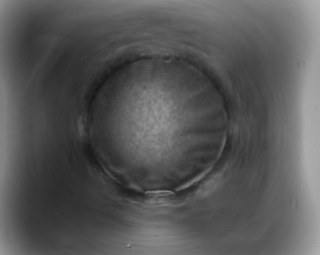 X0000088191490200705292001