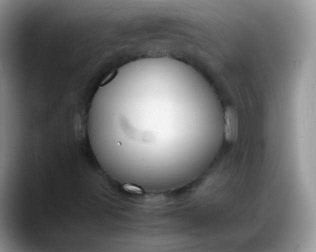 X0000088191491200705292001
