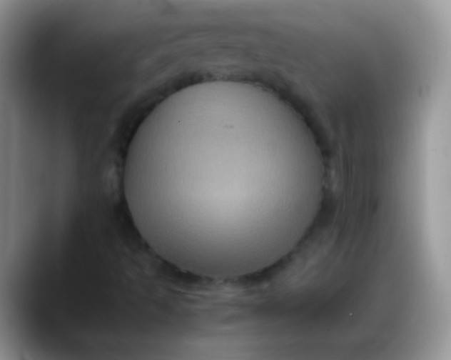 X0000088191493200705292001
