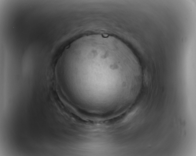 X0000088191494200705292001