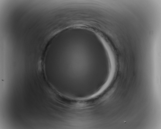 X0000088191497200705292001