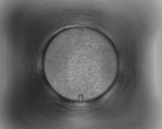 X0000088191498200705292001