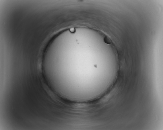 X0000088191499200705292001
