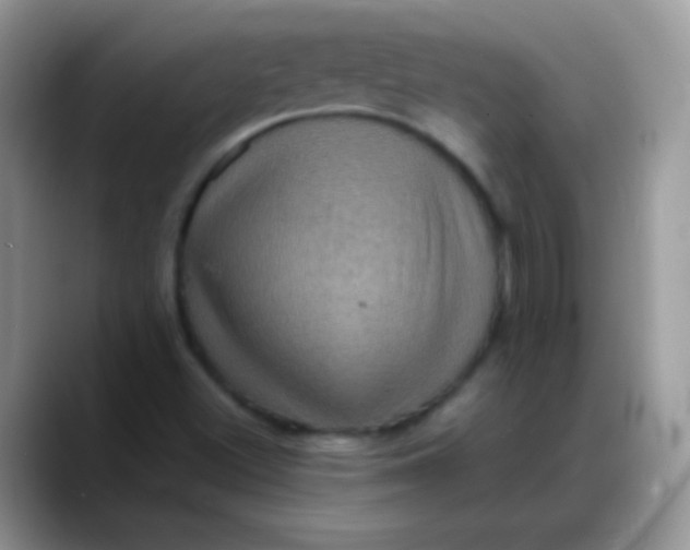 X0000088191500200705292001