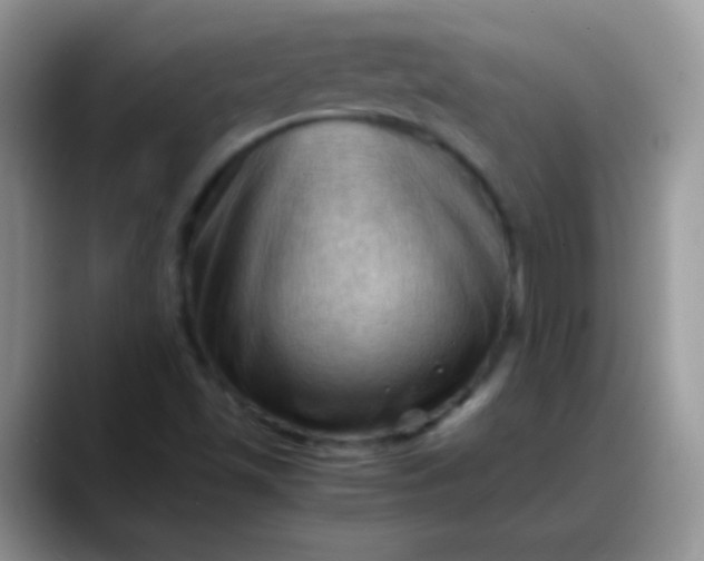 X0000088191501200705292001