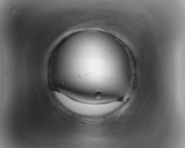X0000088191502200705292001