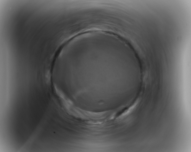 X0000088191505200705292001