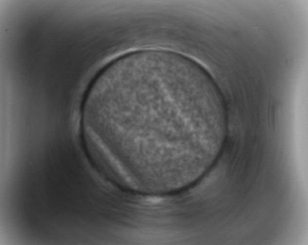 X0000088191507200705292001