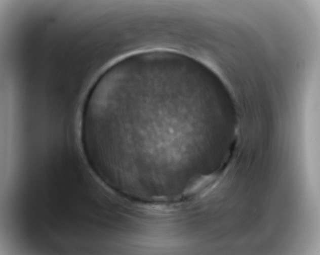 X0000088191508200705292001