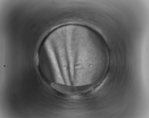 X0000088191509200705292001