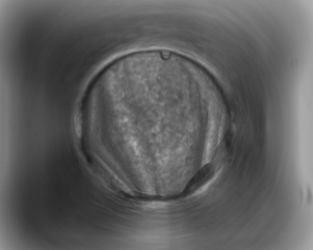 X0000088191510200705292002