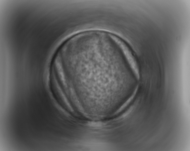 X0000088191511200705292002
