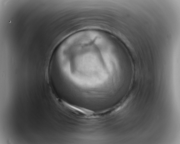 X0000088191513200705292002