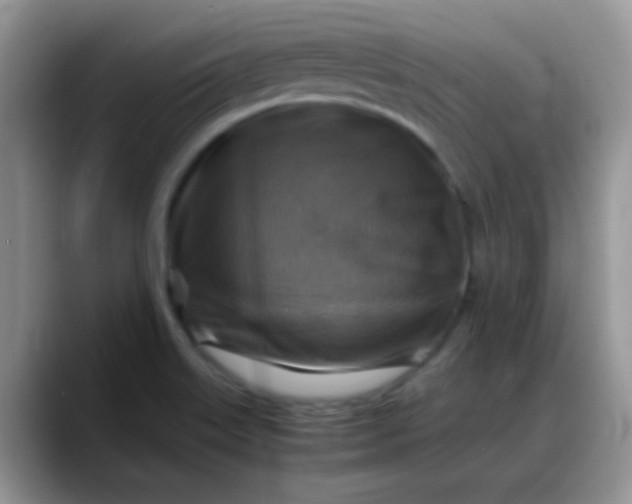 X0000088191515200705292002