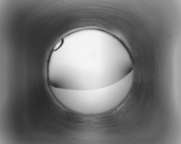 X0000088191516200705292002