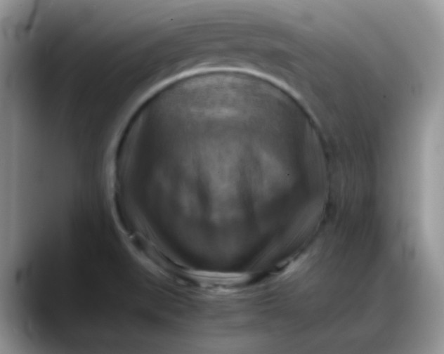 X0000088191519200705292002