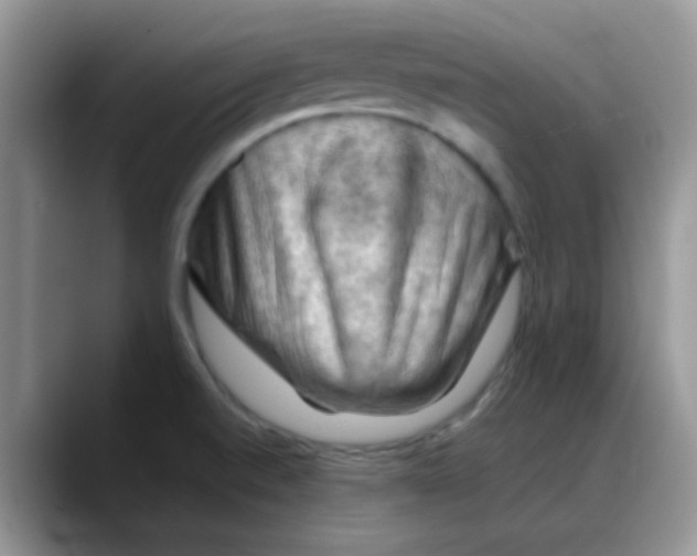 X0000088191520200705292002