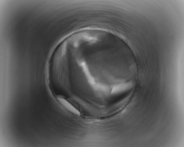 X0000088191522200705292002