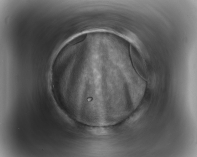 X0000088191524200705292002