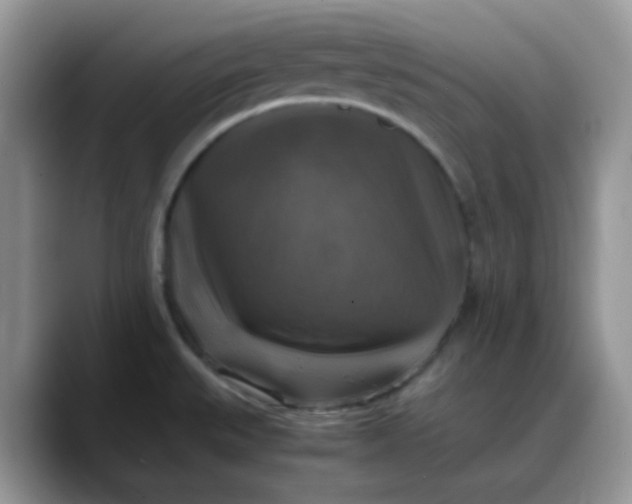 X0000088191527200705292002