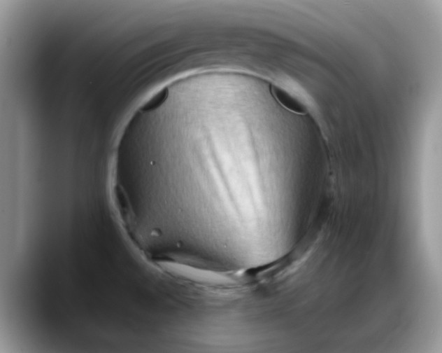 X0000088191528200705292002