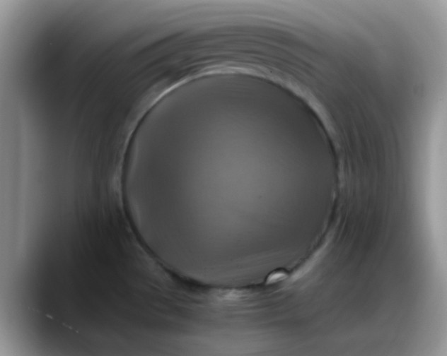 X0000088191529200705292002