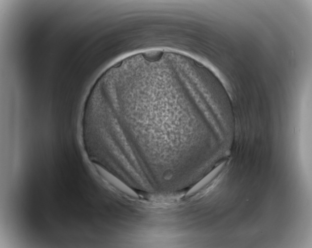 X0000088191534200705292002